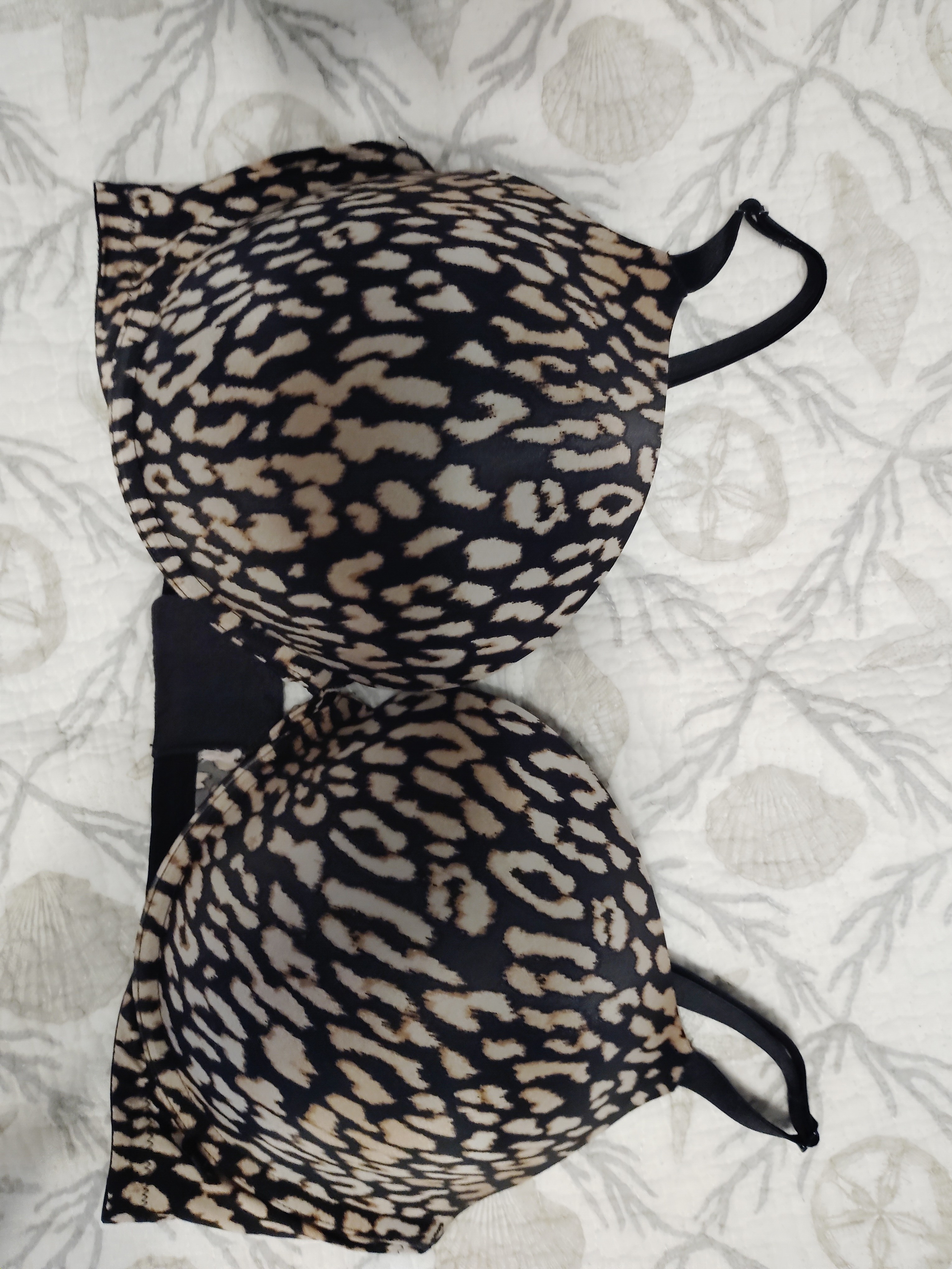 Leopard Print Padded Bra - Neutral Black & Tan